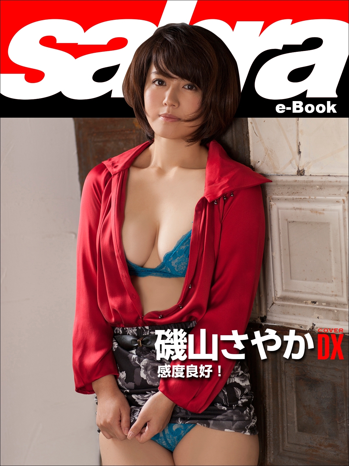 感度良好！　磯山さやかCOVER DX [sabra net e-Book]