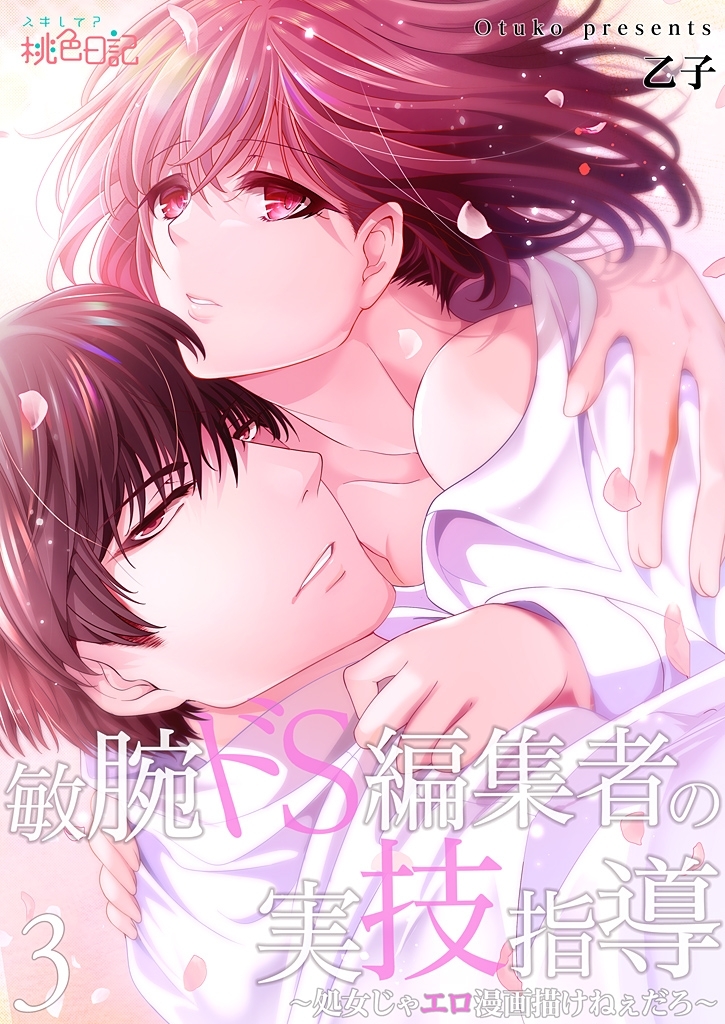 敏腕ドS編集者の実技指導～処女じゃエロ漫画描けねぇだろ～ 3