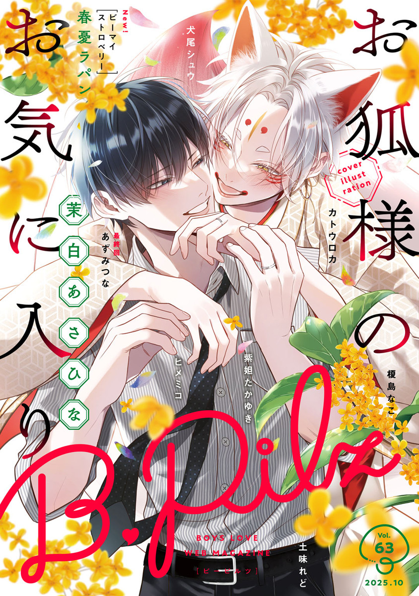 B.Pilz　ｖｏｌ．63