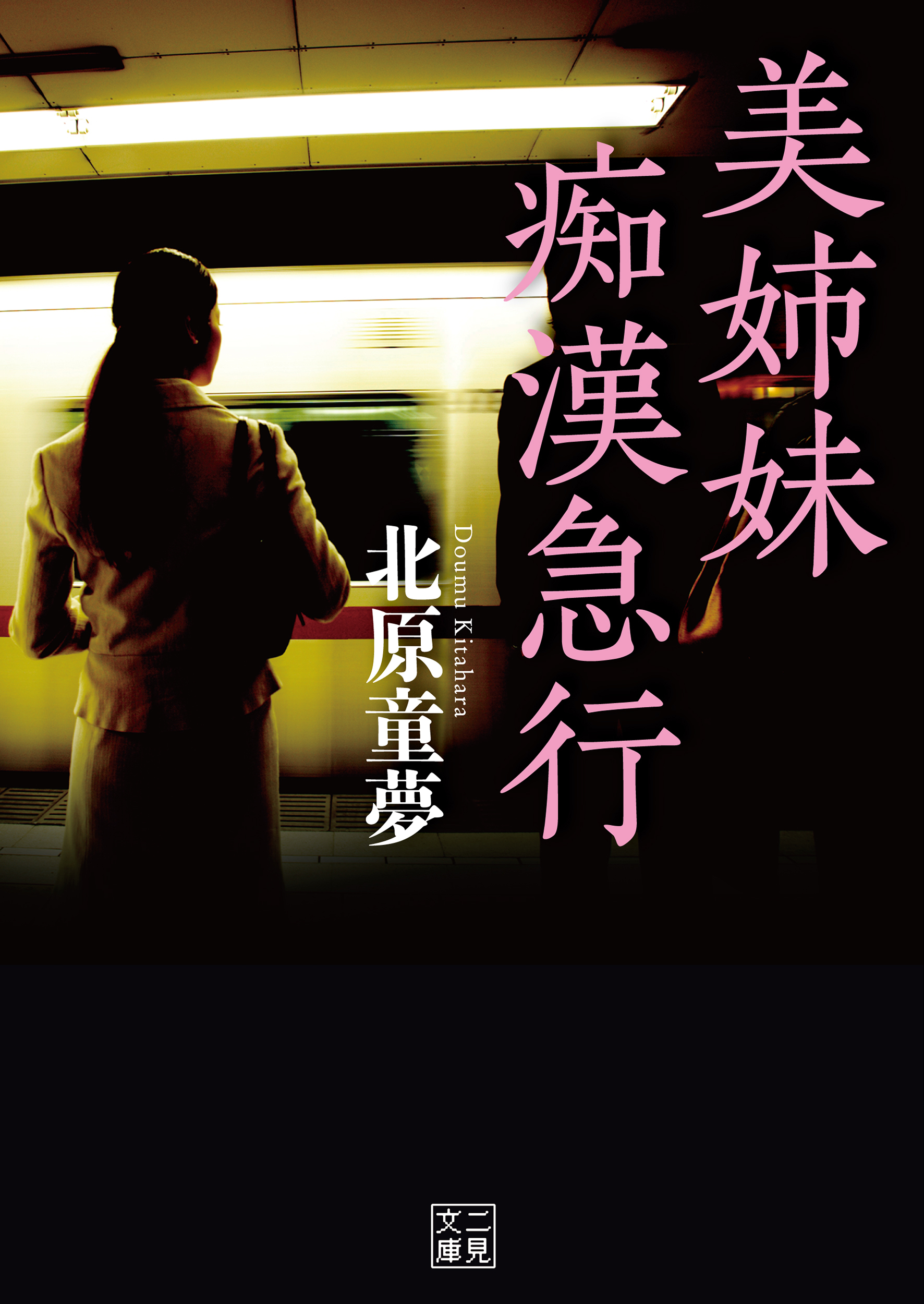 美姉妹痴漢急行