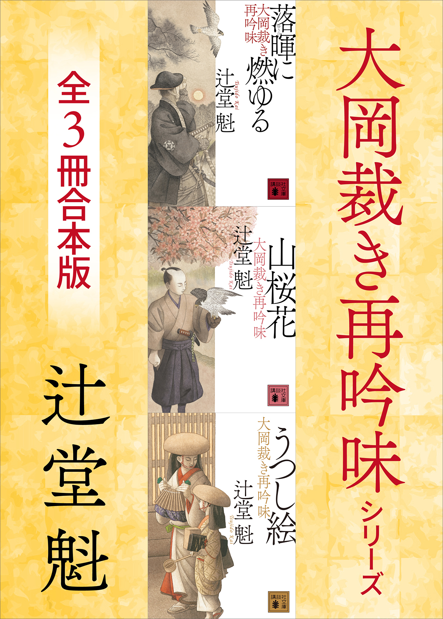大岡裁き再吟味シリーズ　３冊合本版