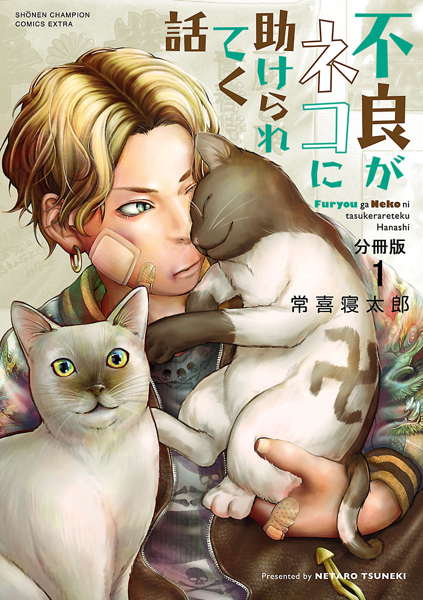 【期間限定　無料お試し版】不良がネコに助けられてく話【分冊版】　1