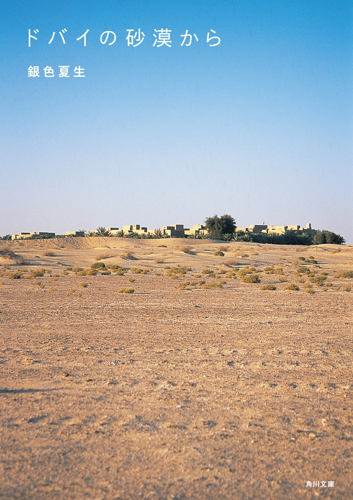 ドバイの砂漠から