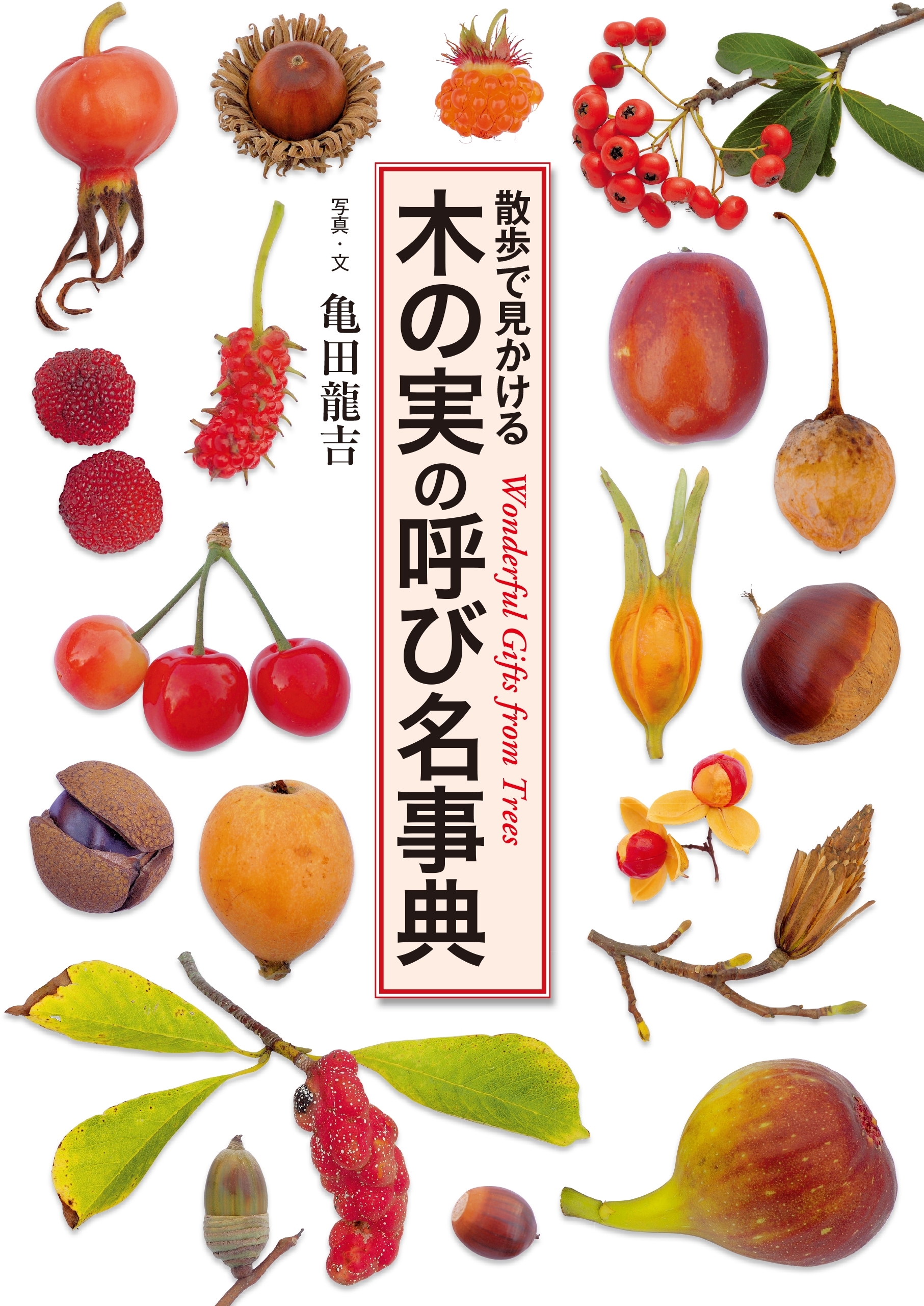 木の実の呼び名事典