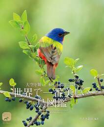 世界で一番美しい鳥図鑑