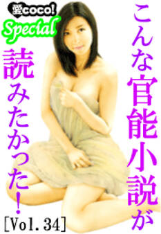 こんな官能小説が読みたかった!vol.34