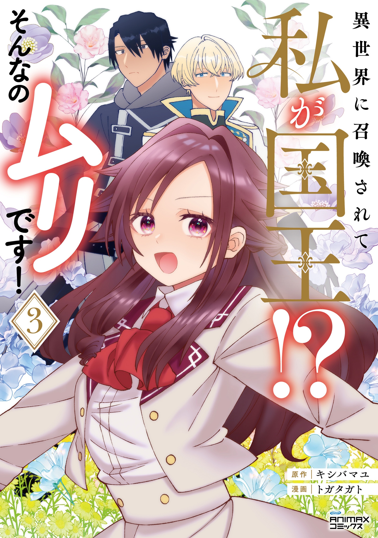 異世界に召喚されて私が国王！？　そんなのムリです！3（ANIMAXコミックス）