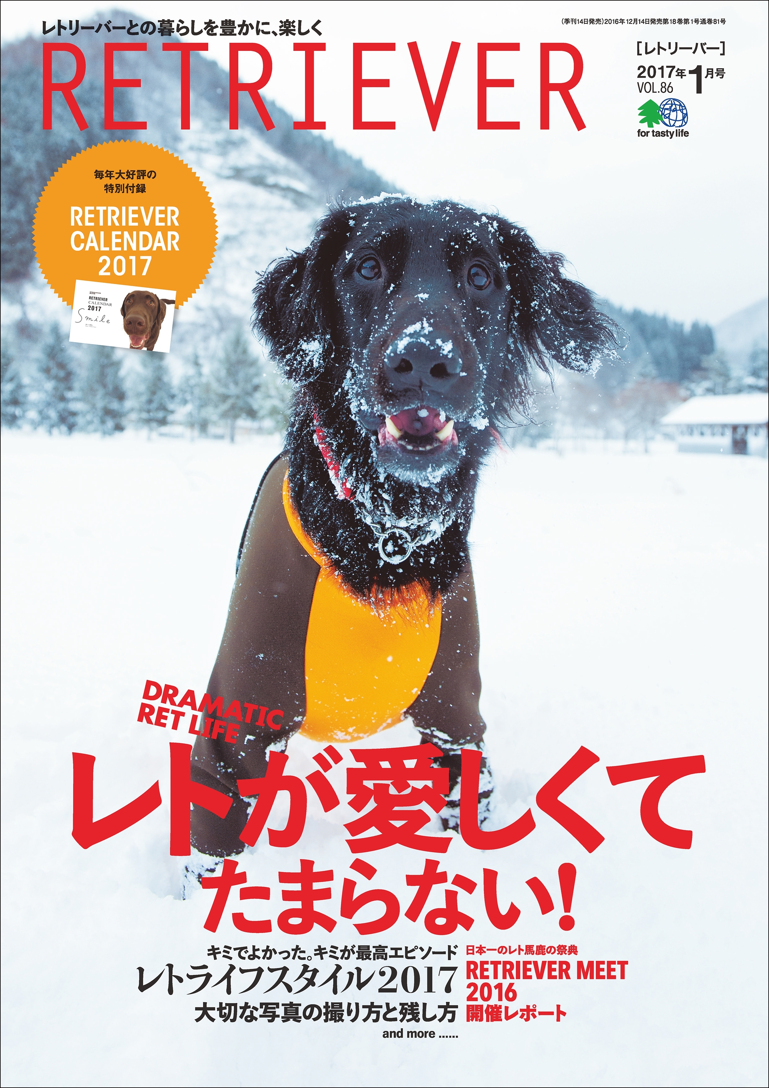 RETRIEVER 2017年1月号