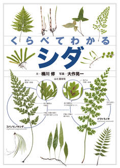 くらべてわかる シダ