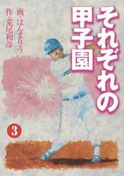 それぞれの甲子園3