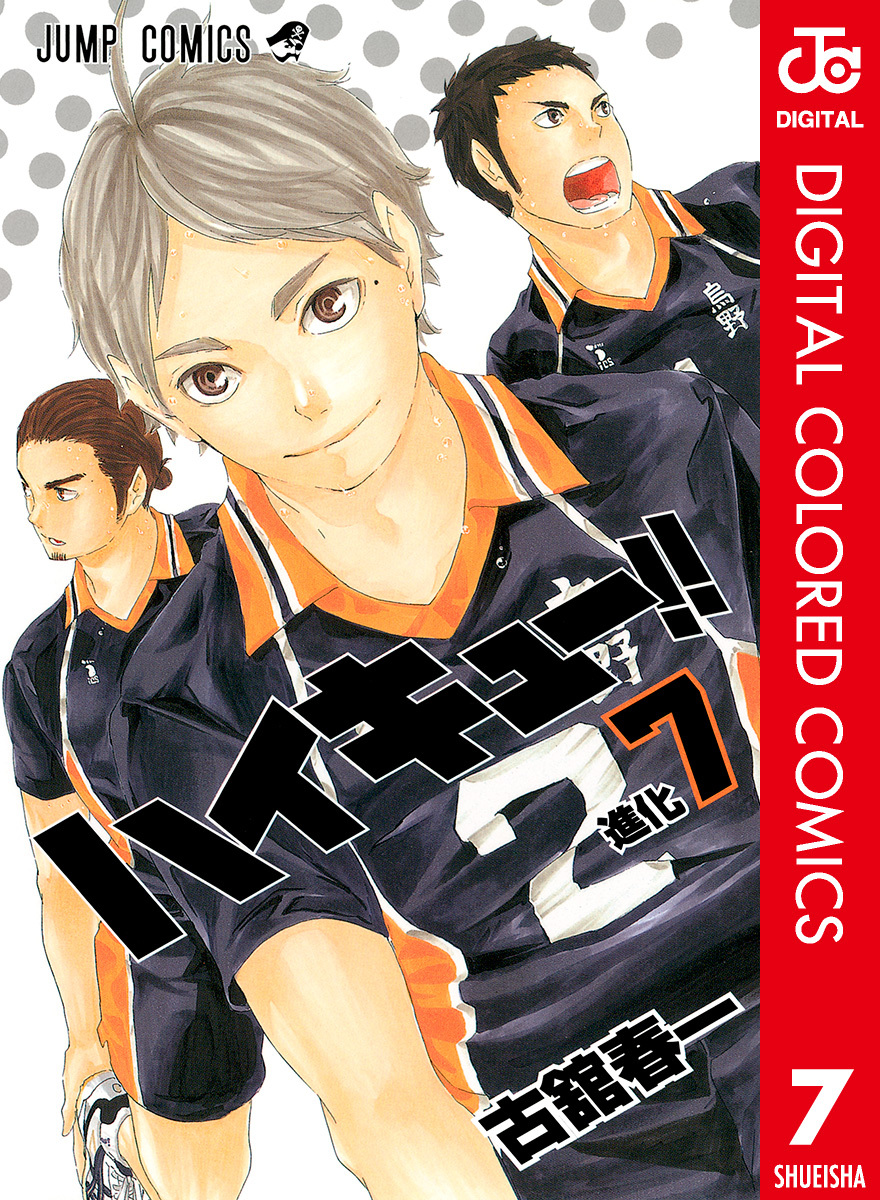 ハイキュー！！ カラー版 7