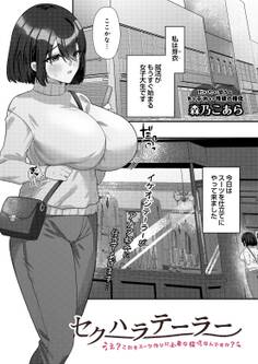 セクハラテーラー