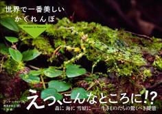 世界で一番美しいかくれんぼ ~Hidden in Nature ~