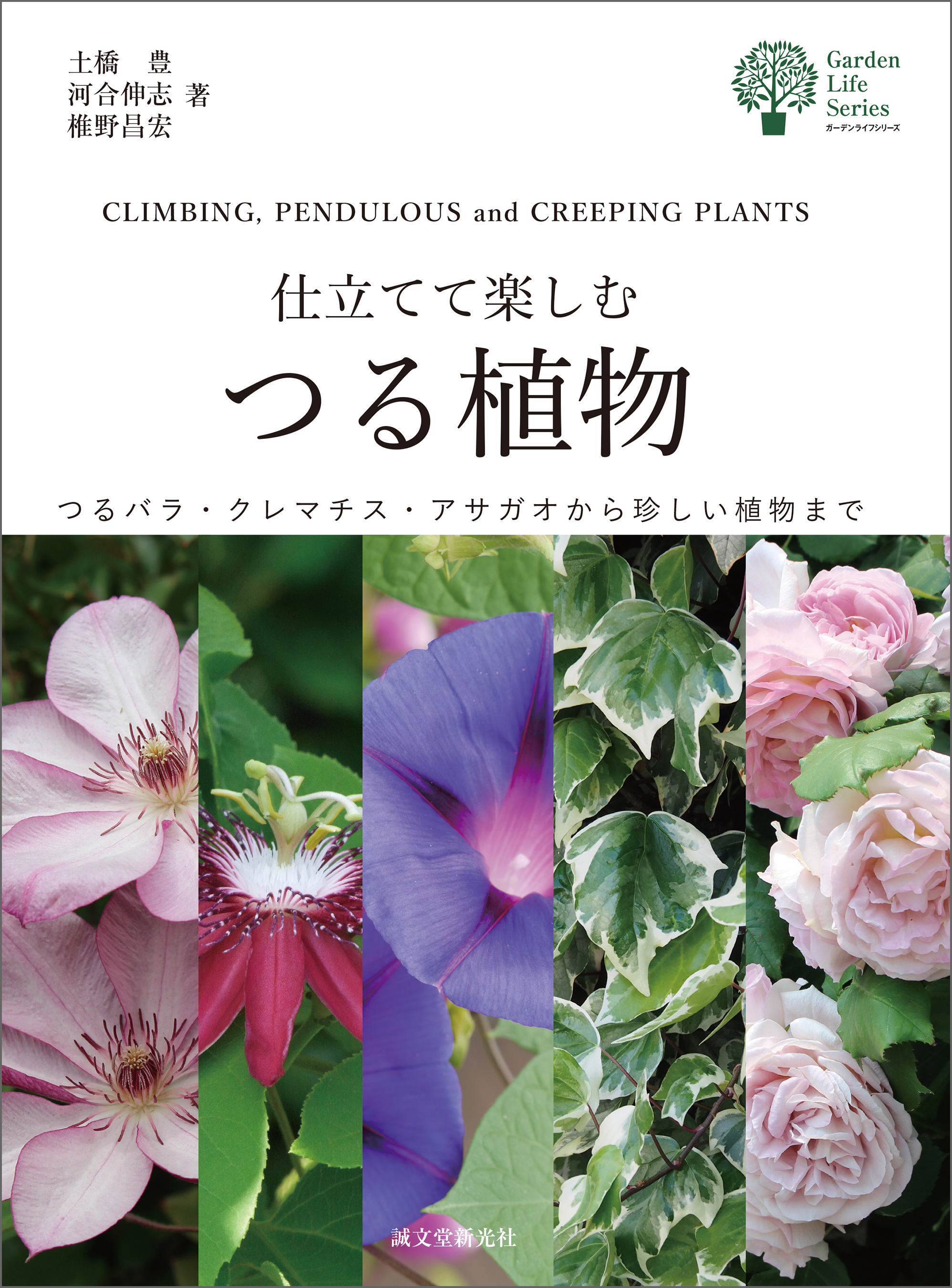 仕立てて楽しむつる植物
