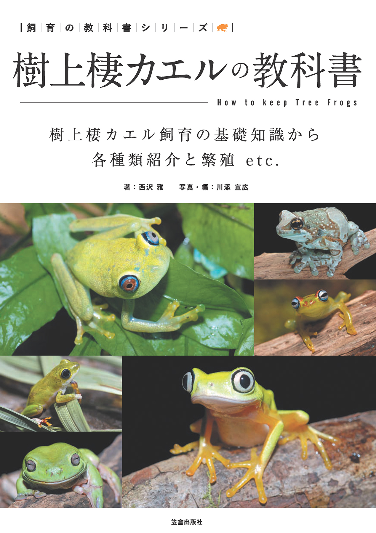 樹上棲カエルの教科書