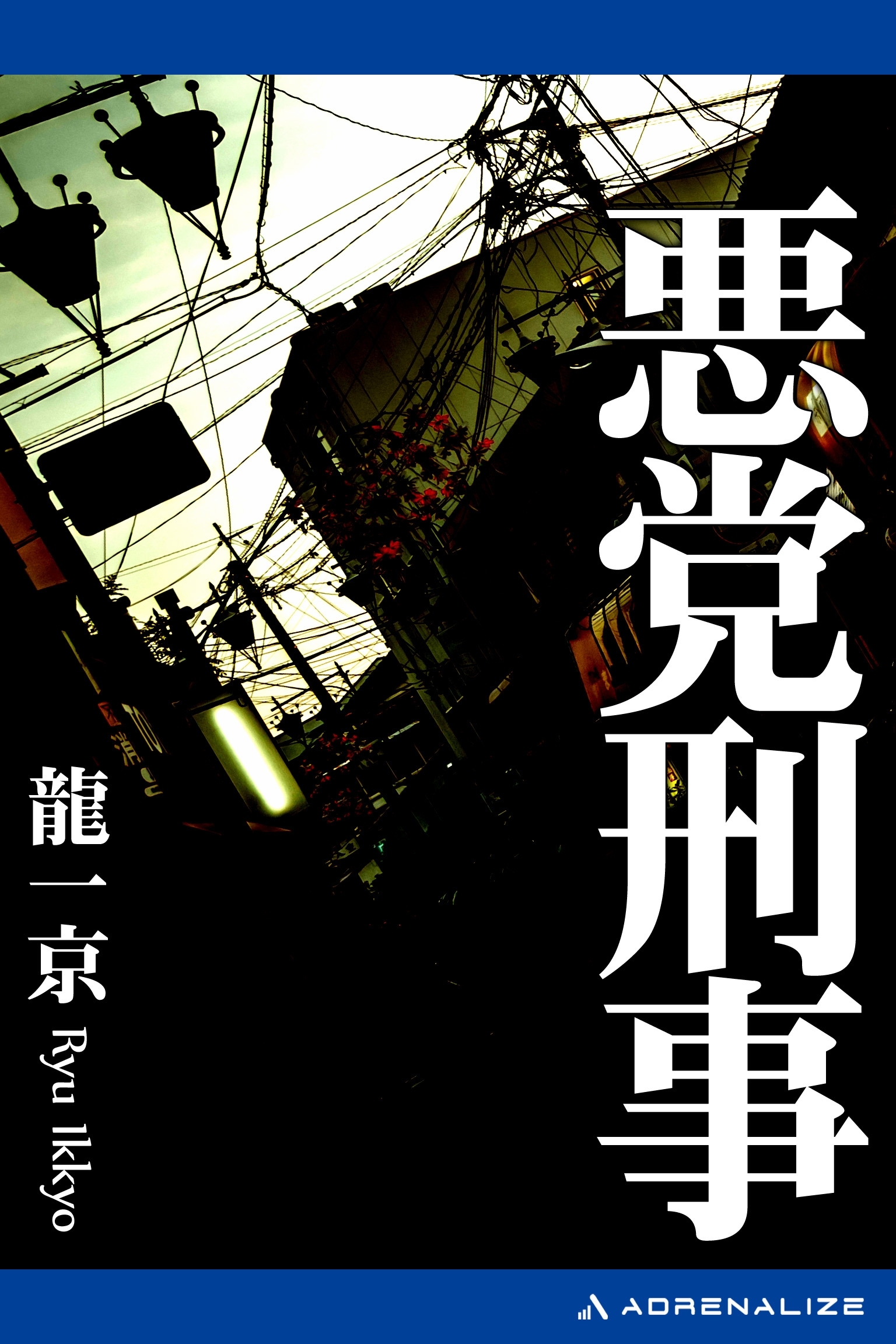 デカクズレ著者名刑事（デカ）くずれ/廣済堂出版/菊村到 - その他