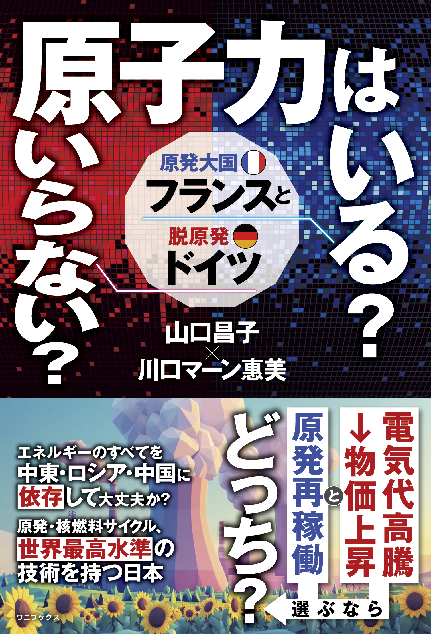 原子力はいる？ いらない？ 原発大国フランスと脱原発ドイツ