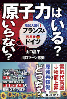 原子力はいる? いらない? 原発大国フランスと脱原発ドイツ