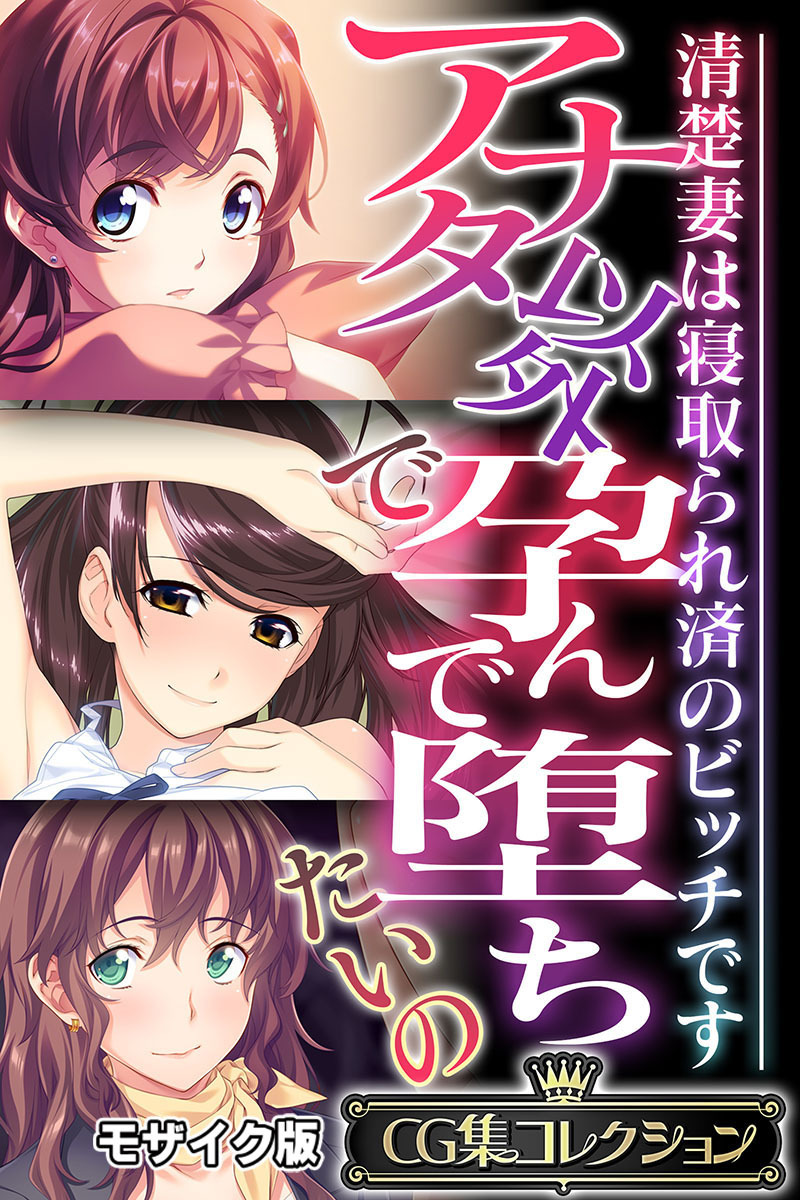 アナタ以外で孕んで堕ちたいの ～清楚妻は寝取られ済のビッチです～【CG集コレクション】 モザイク版