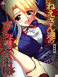 【新装版】ねえさん達のびちょ濡れ柔肉 第3巻