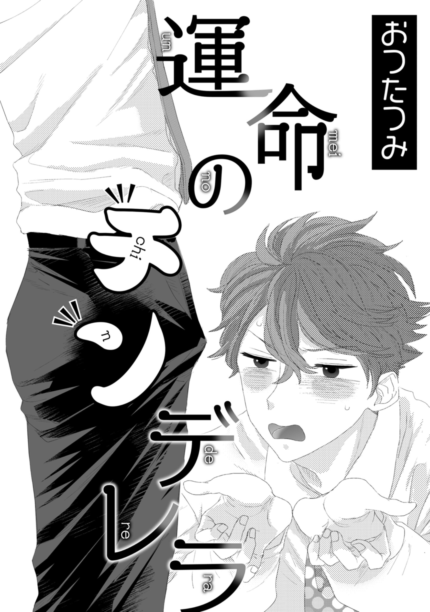 運命のチンデレラ