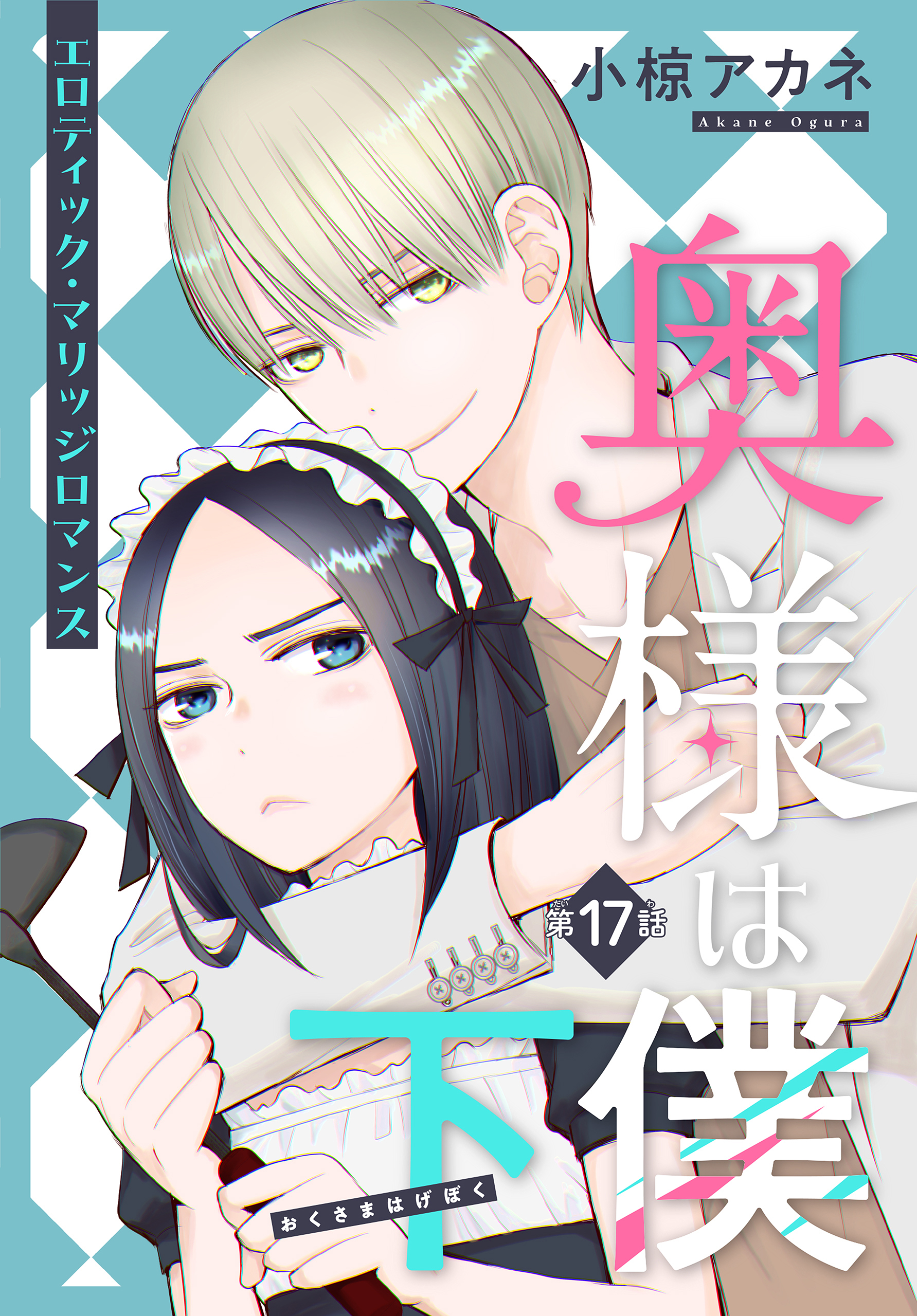 奥様は下僕［1話売り］　story17