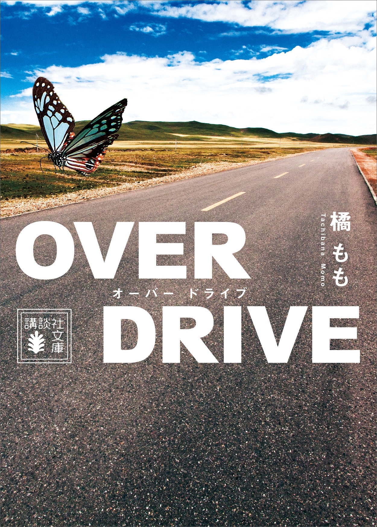 ＯＶＥＲ　ＤＲＩＶＥ