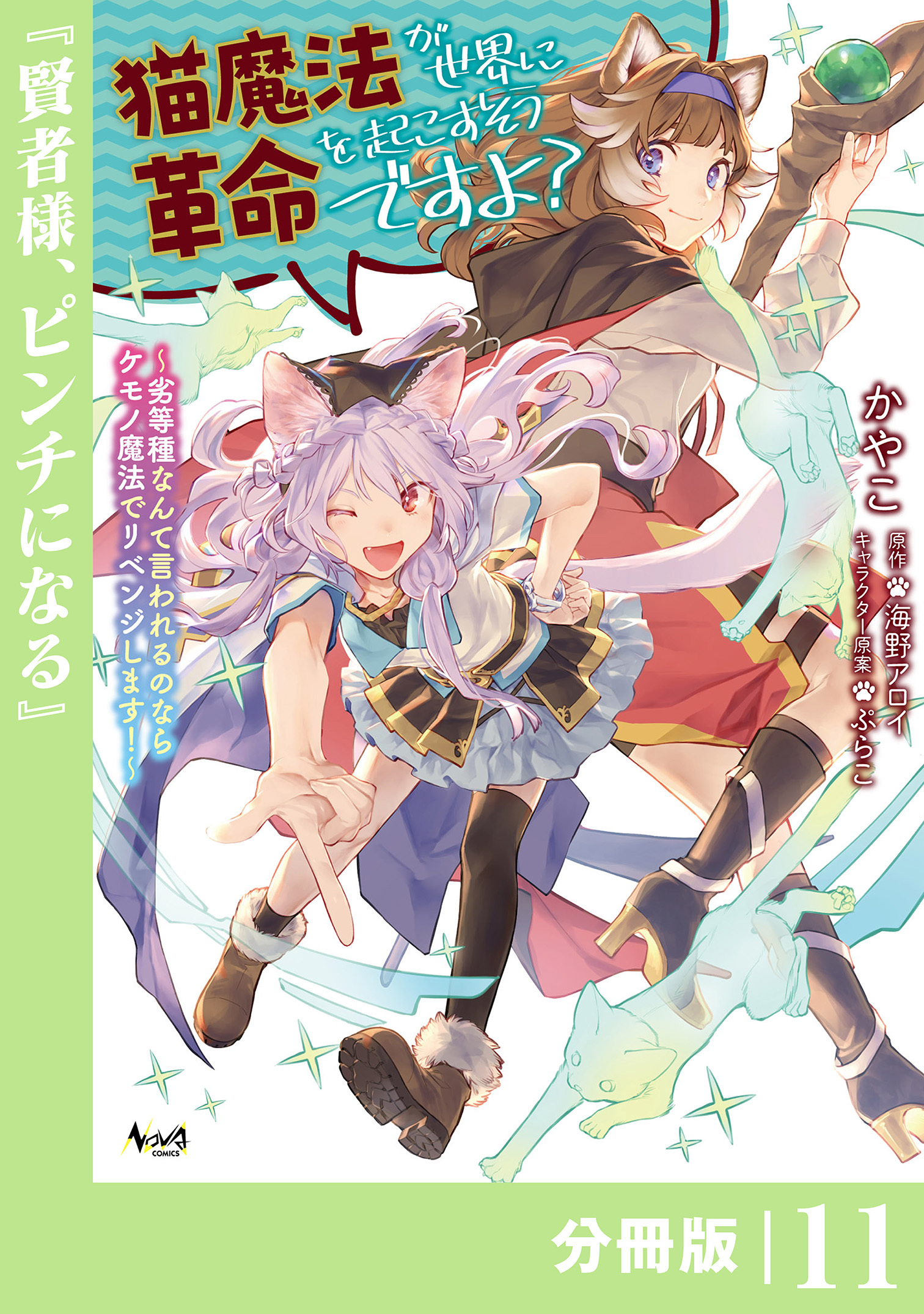 猫魔法が世界に革命を起こすそうですよ？【分冊版】（ノヴァコミックス）１１