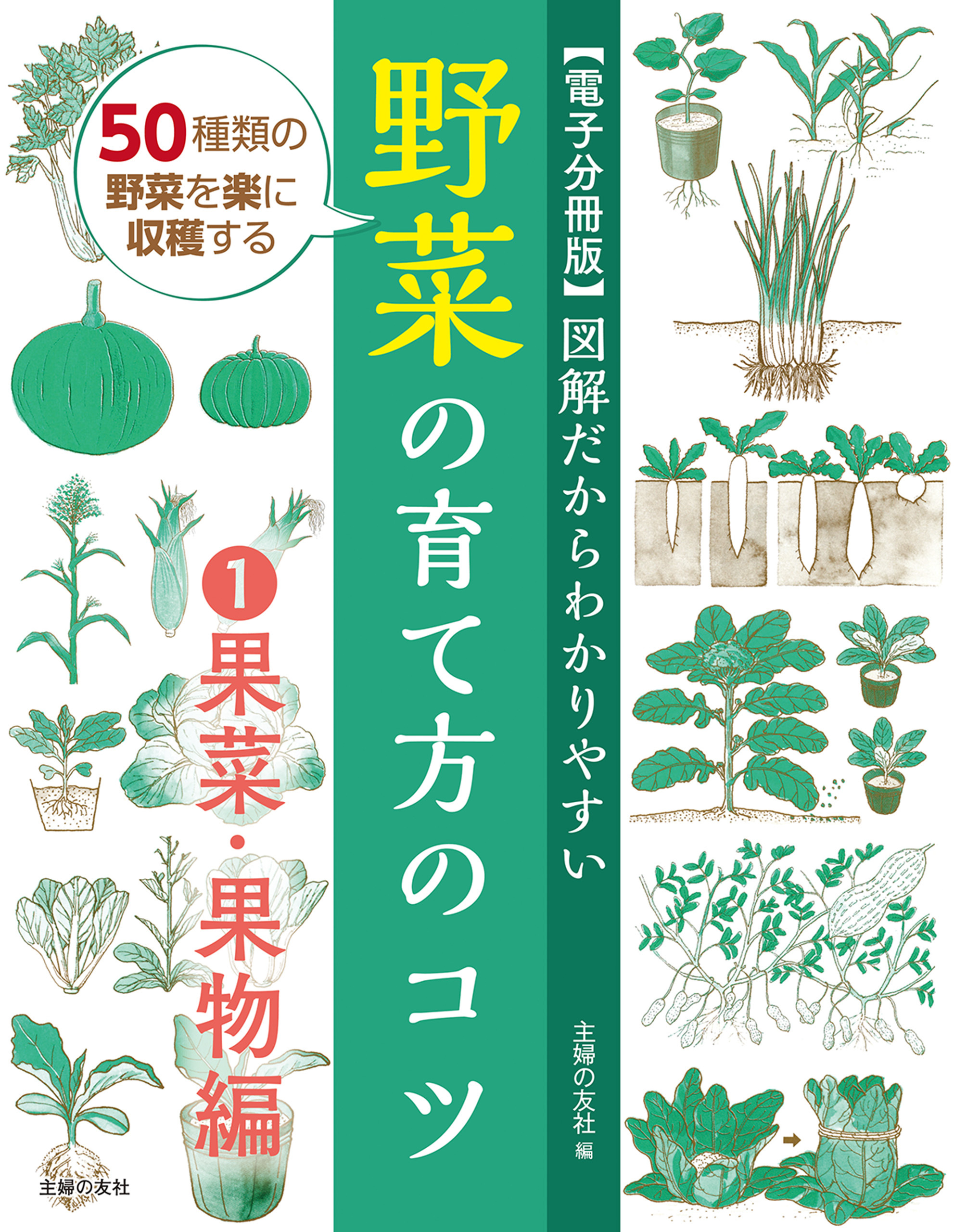 【電子分冊版】図解だからわかりやすい　野菜の育て方のコツ①果菜・果物編