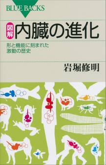 図解 内臓の進化 形と機能に刻まれた激動の歴史