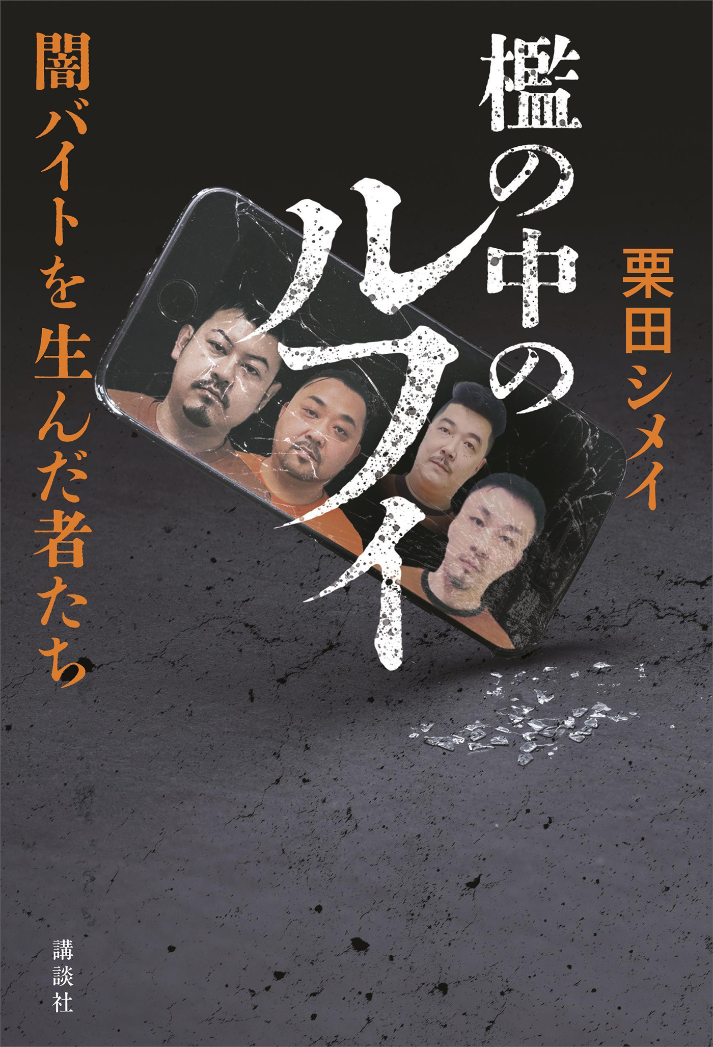 檻の中のルフィ　闇バイトを生んだ者たち