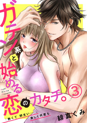 ガテン系と始める恋のカタチ。～「熱くて野太い…」、激しく何度も～