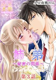 姉×弟～秘密の関係～【フルカラー版】 3