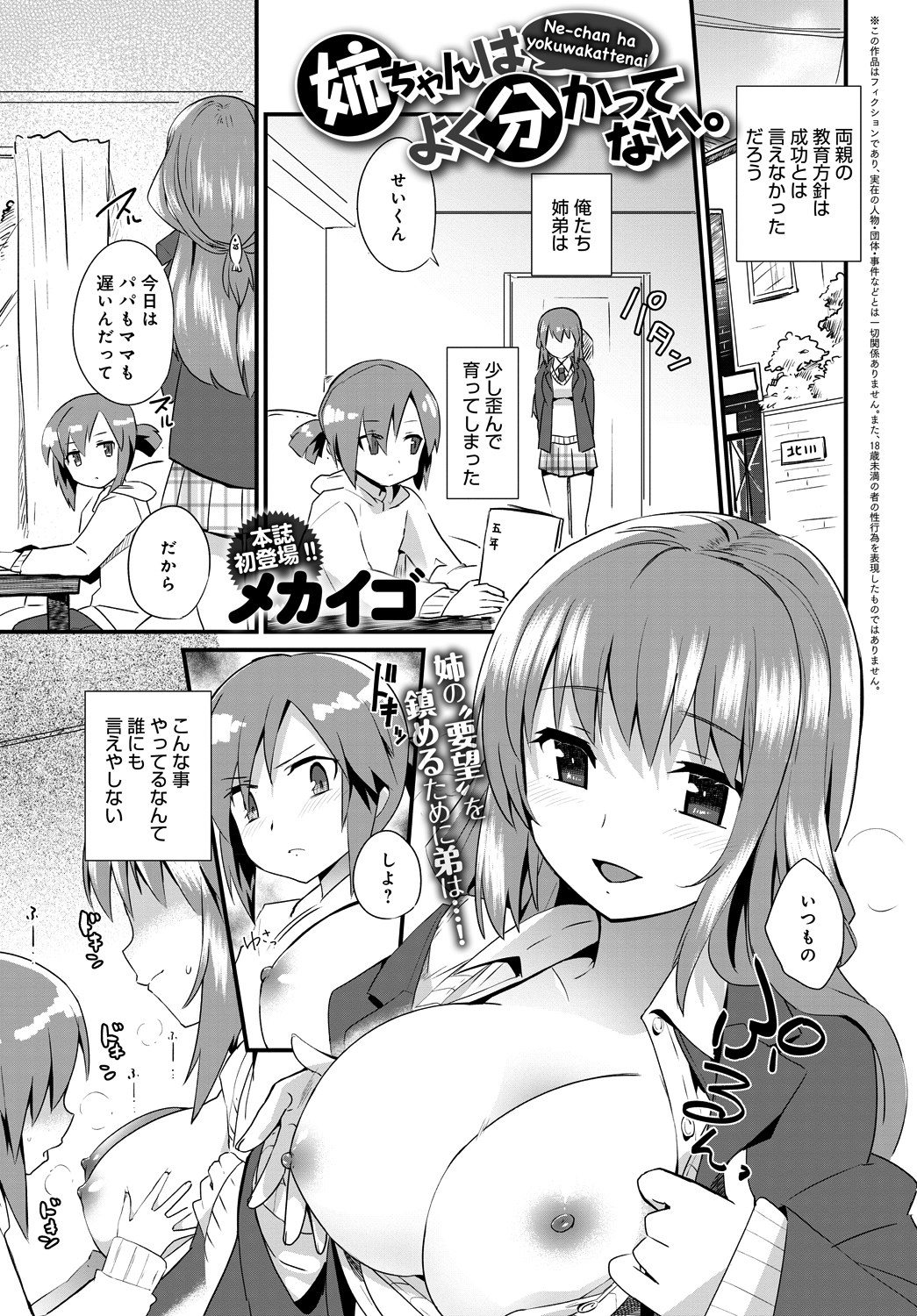 姉ちゃんはよく分かってない。 （1）