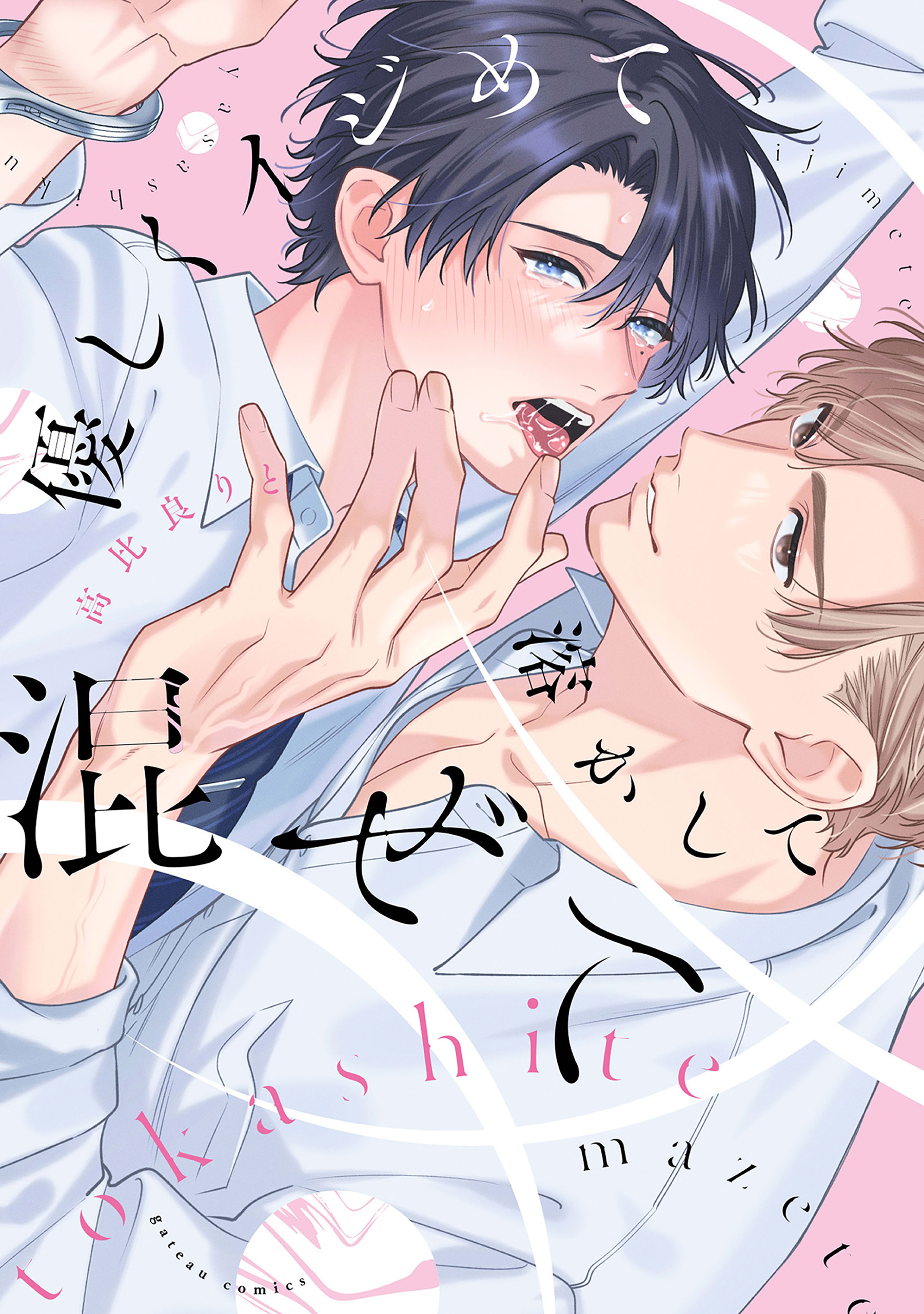 優しくイジめて溶かして混ぜて