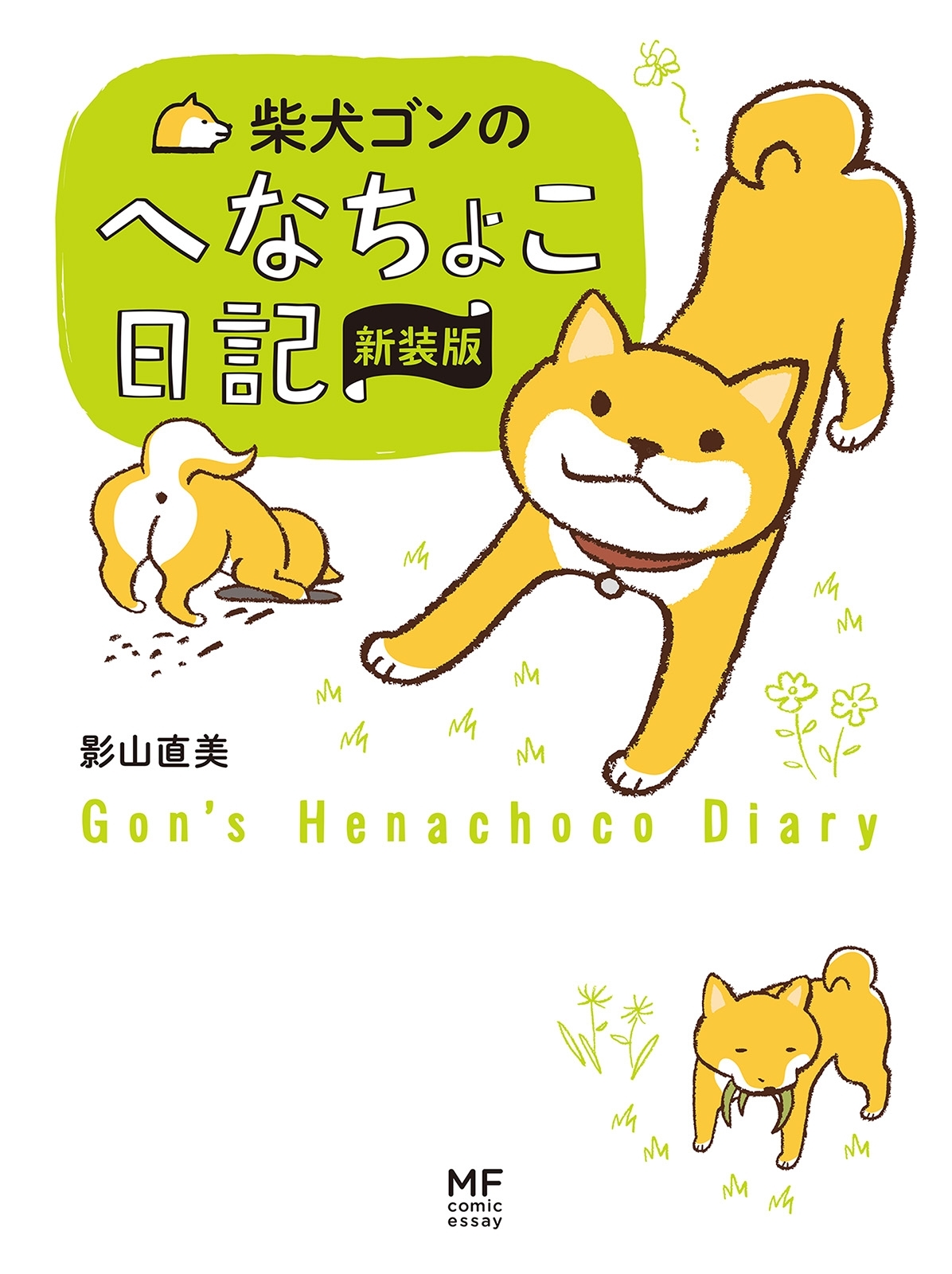 柴犬ゴンとテツ