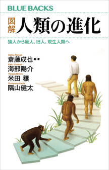 図解 人類の進化 猿人から原人、旧人、現生人類へ