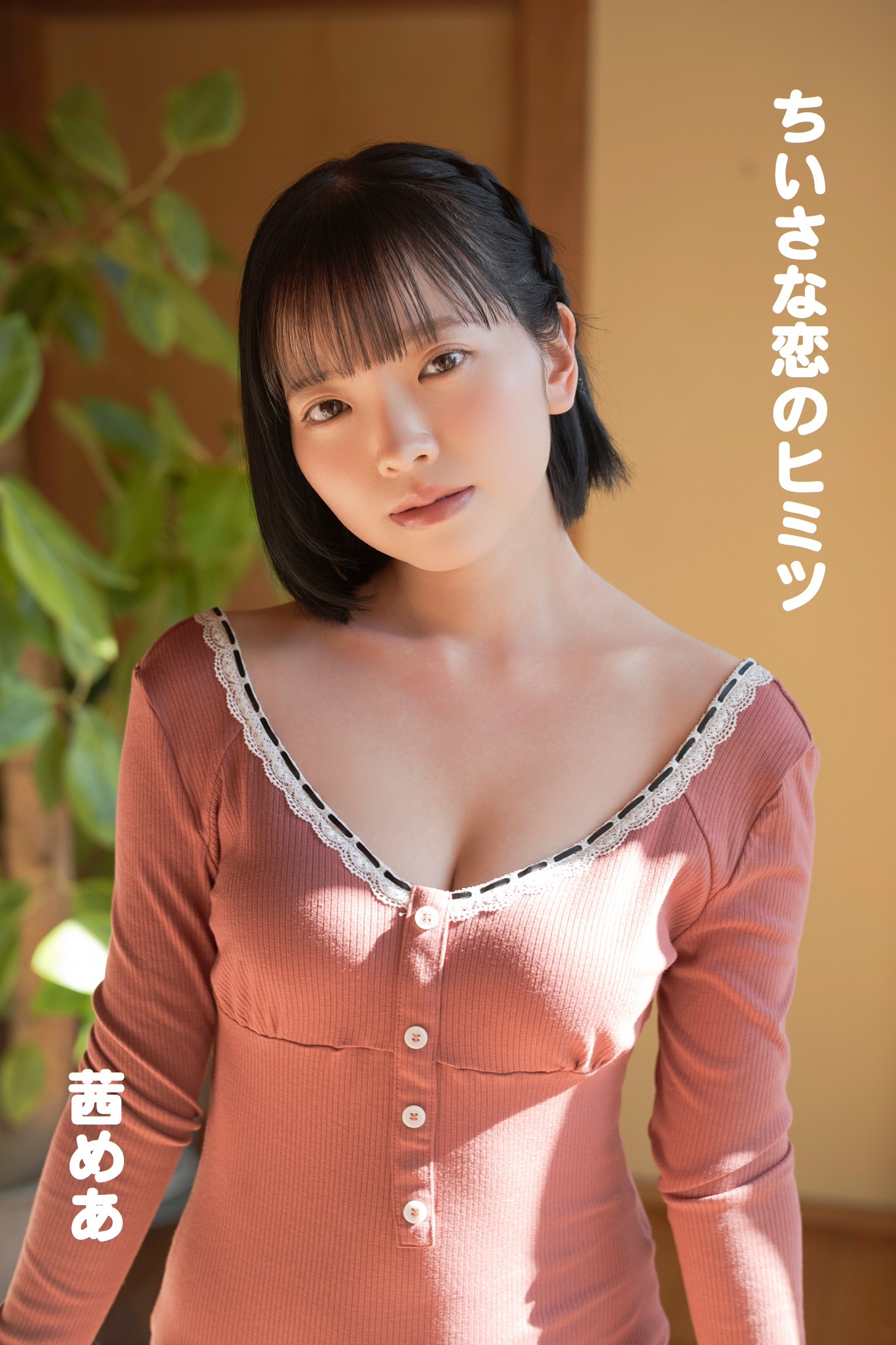 茜めあ/ちいさな恋のヒミツ