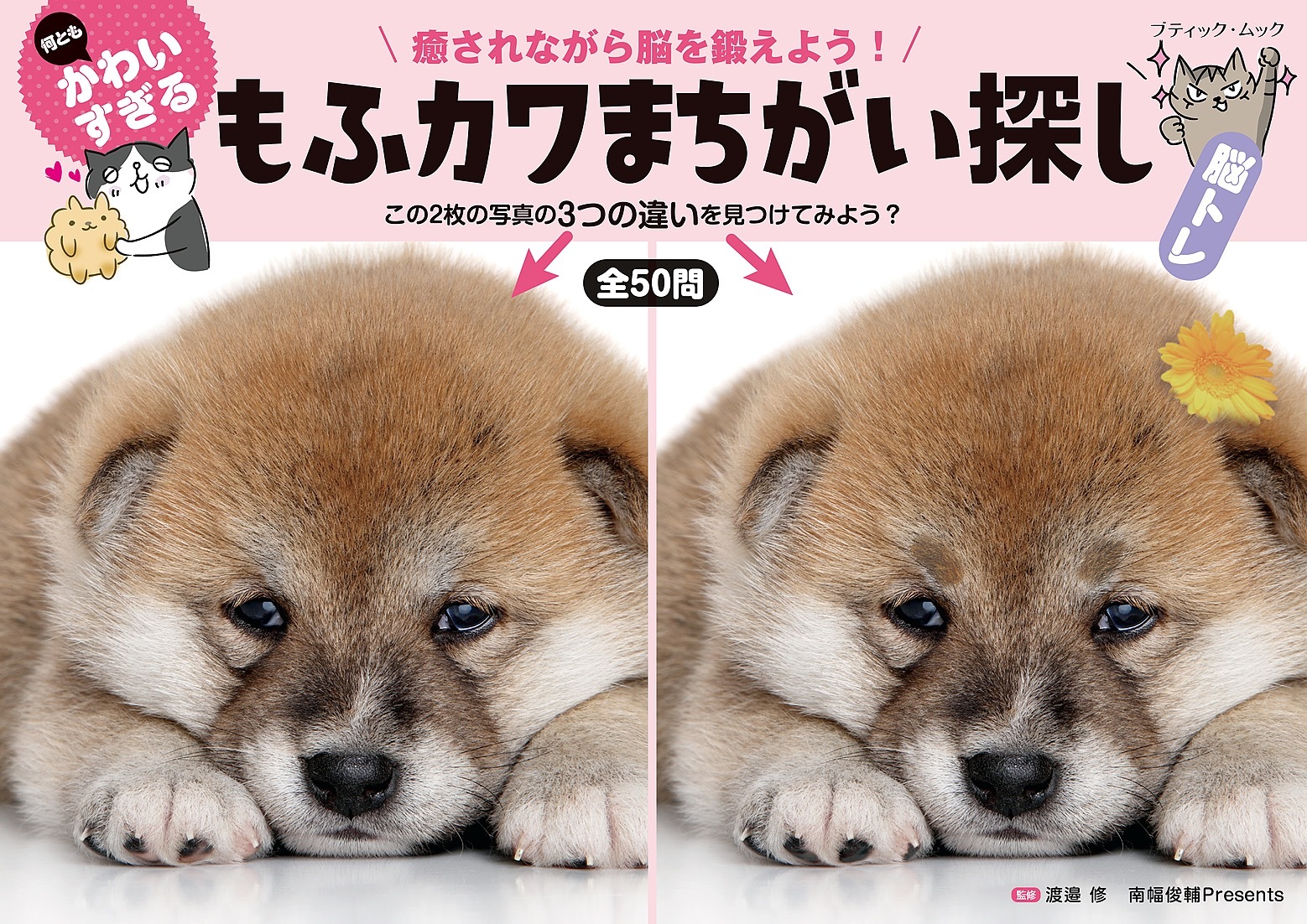 何ともかわいすぎる もふカワまちがい探し