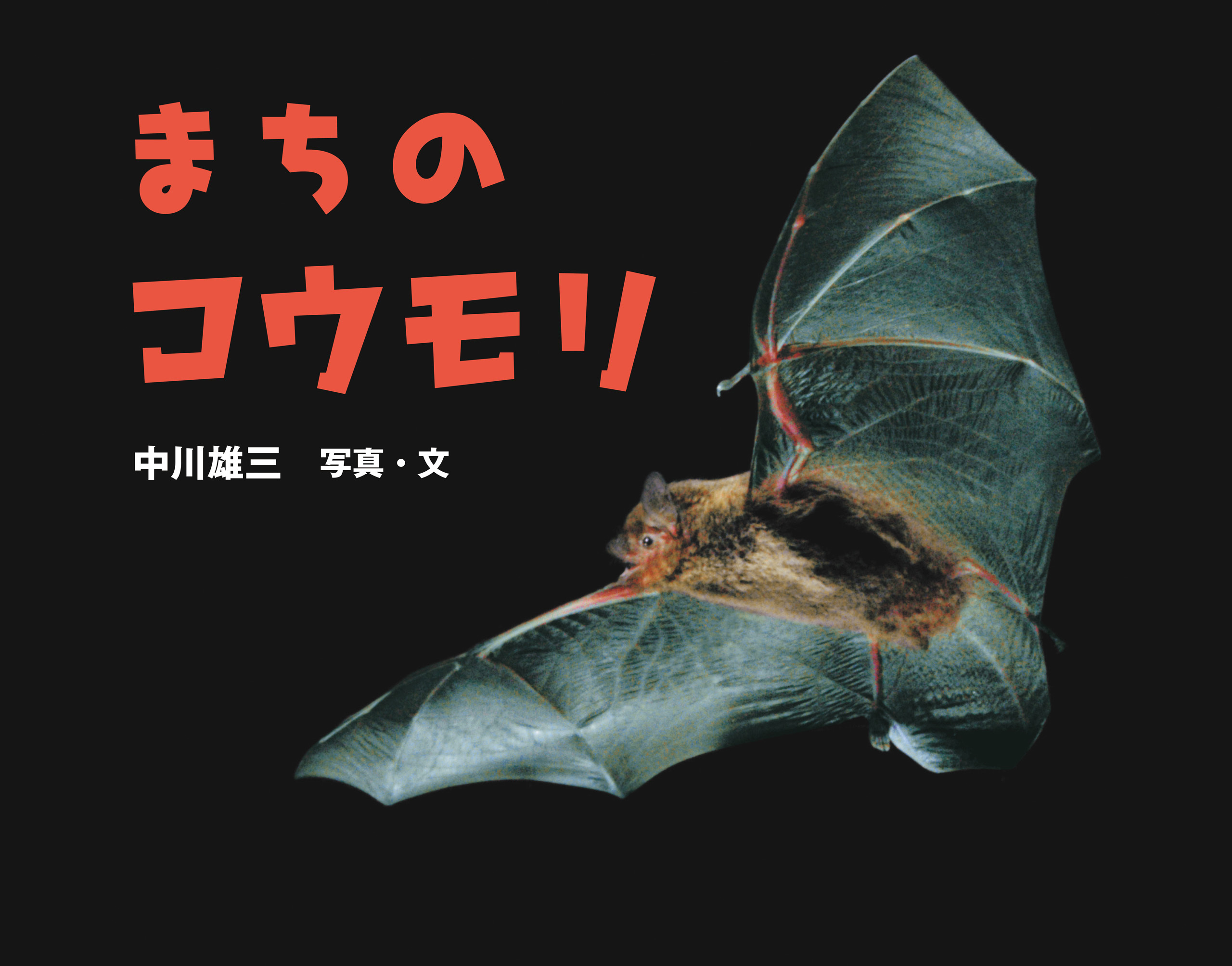 まちのコウモリ