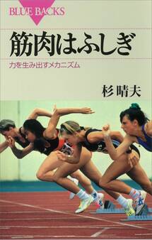 筋肉はふしぎ 力を生み出すメカニズム