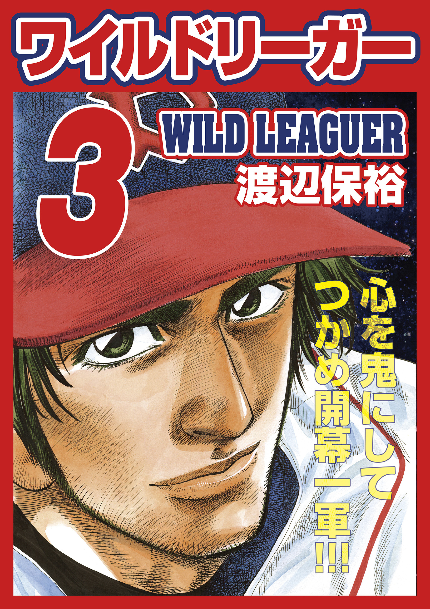 ワイルドリーガー 3巻