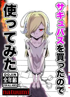 サキュバスを買ったので使ってみた