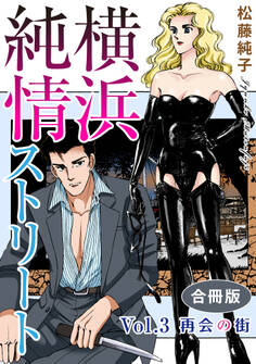 横浜純情ストリート Vol.3 再会の街 合冊版