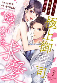 強引で、勝手で、溺愛で~極上御曹司の飽くなき求愛~