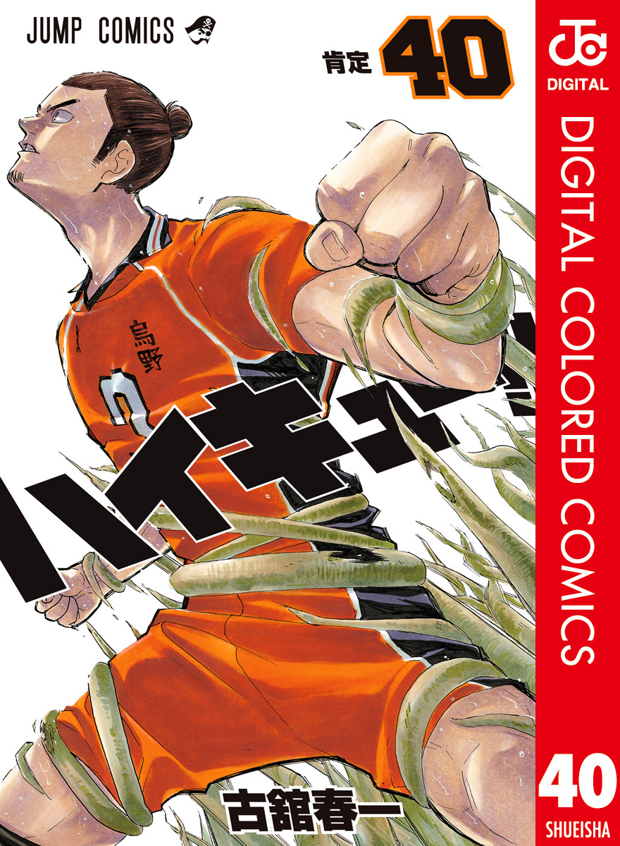 ハイキュー！！ カラー版 40