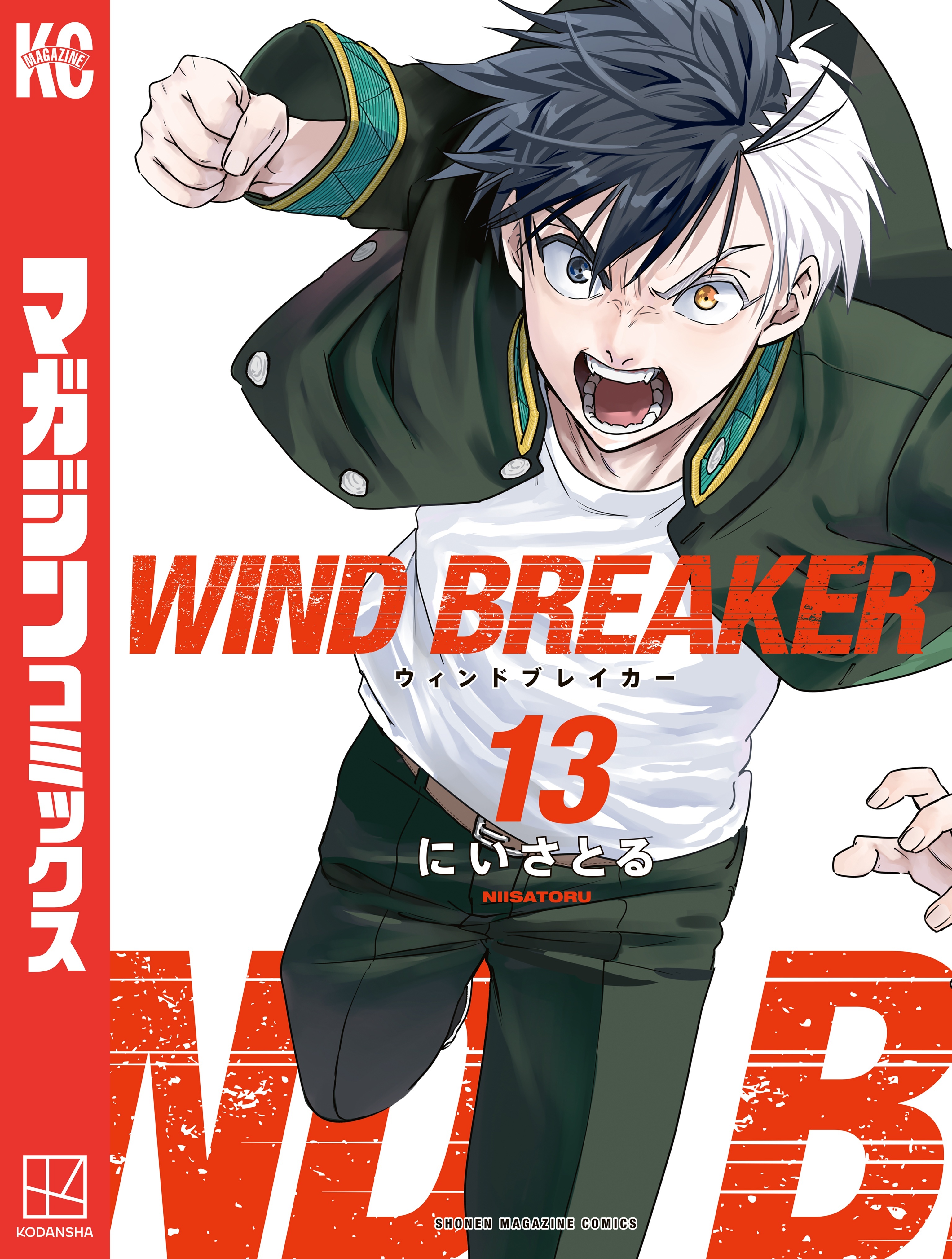 ＷＩＮＤ　ＢＲＥＡＫＥＲ（13）