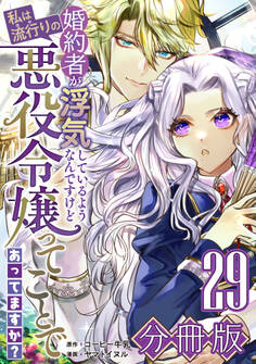 婚約者が浮気しているようなんですけど私は流行りの悪役令嬢ってことであってますか?【分冊版】29