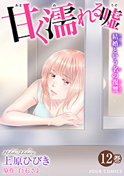 甘く濡れる嘘～結婚という名の復讐～ ： 12