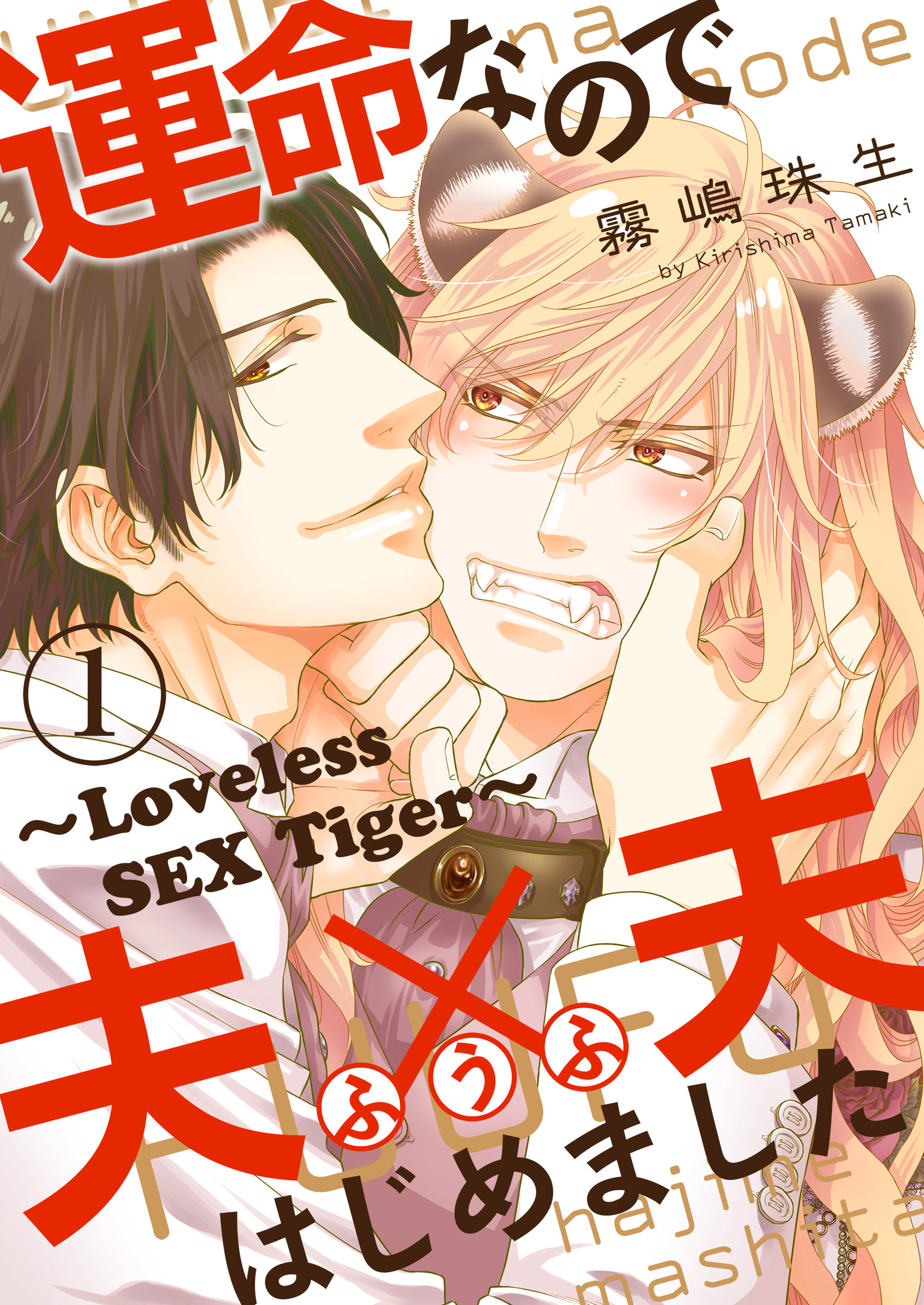 運命なので夫×夫はじめました　１～Loveless SEX Tiger～